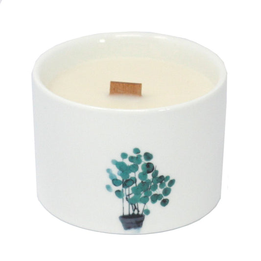 1 Vela Botánica Mediana - Mullberry Harvest (colores sortidos) - Velas Botánicas De Soja, 27 horas