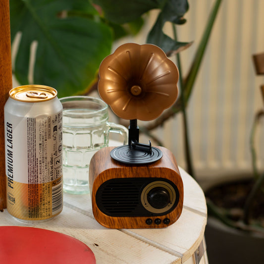 Mini haut-parleur rétro gramophone - Bluetooth et radio FM - 5 watts x 1