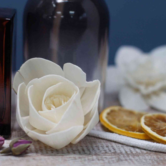 Difusor de Flores Naturales - Clavel sobre Caña - Flores Difusoras | El Bazar de Tizar