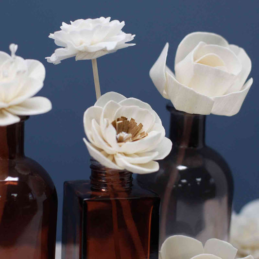 Flores Naturales para Difusor - Lirio Pequeño en Cuerda - Flores Difusoras | El Bazar de Tizar