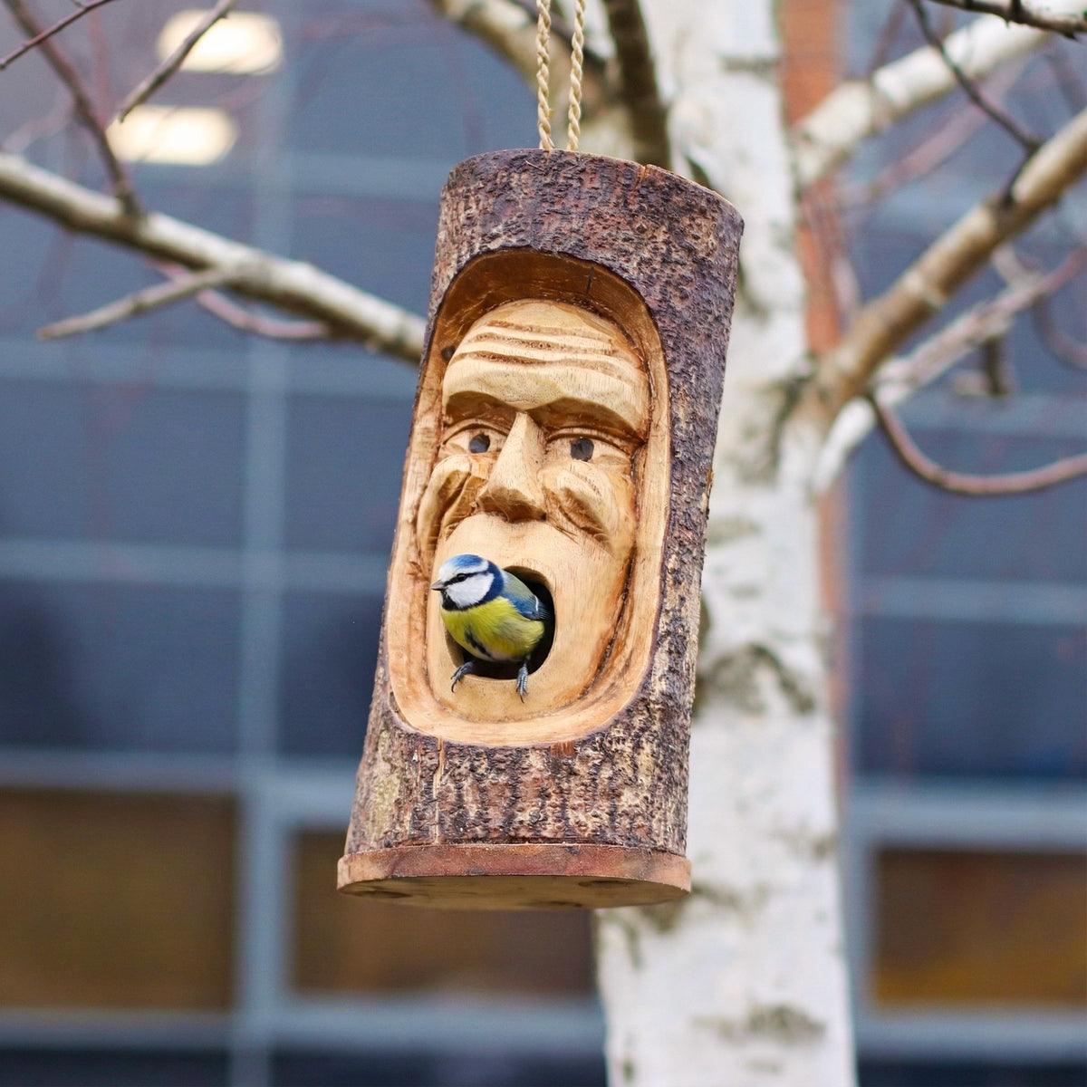 Cara de tronco de árbol - Casa para pájaros - Viejo gruñón | Casas para aves de pastos marinos | El Bazar de Tizar