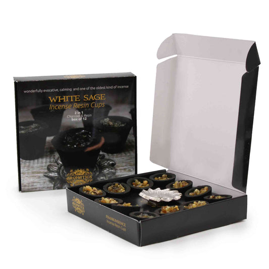 Caja de 12 Copas de Resina - Tres Reyes - Caja de 12 copas de resina