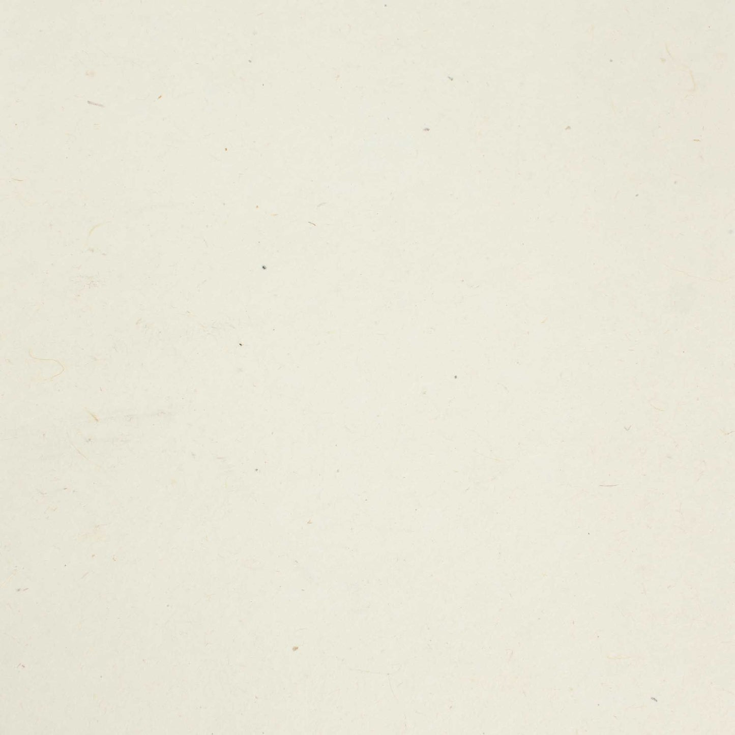 Paquete de 30 hojas de papel Lokta artesanal A4 - 20 gramos - liso