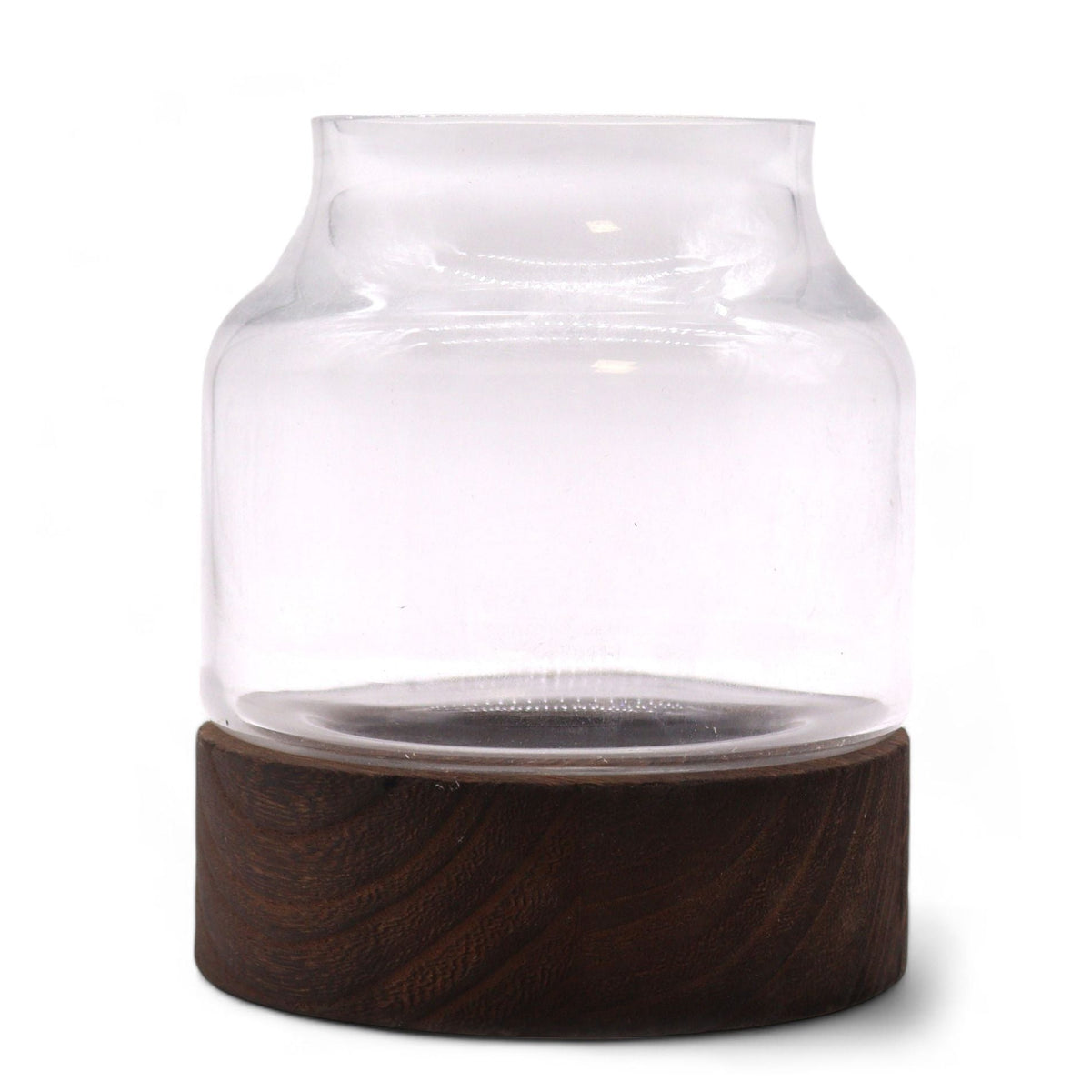 Small Terrarium in Dark Tung Wood - 12x13cm