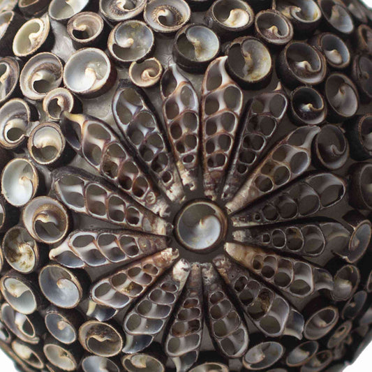 Lámpara Boho Sea Shell - Chocolate Twist Ovalada - 15cm - Lámpara Boho, artesanal