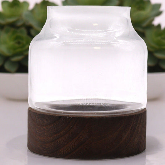 Dark Tung Wood Medium Terrarium - 16x18cm