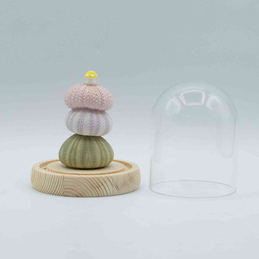 Domo de Jardín Floral Glow - 3 erizos de mar - LED USB - Domo de jardín con brillo floral | El Bazar de Tizar
