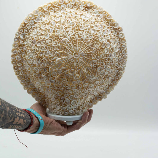 Lámpara Boho de Conchas Marinas - Concha Redonda Grande - 30 cm - Lámpara Boho