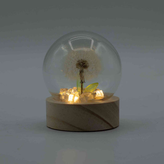 Domo de jardín Floral Glow - 1 Diente de león - Batería LED - Domo de jardín con brillo floral | El Bazar de Tizar