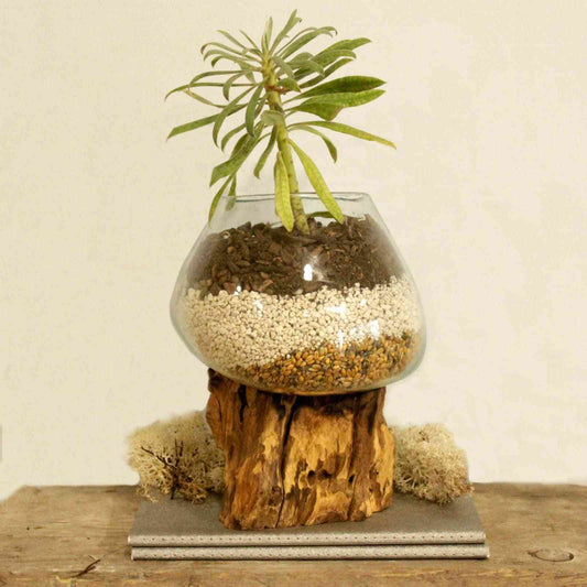 Verre fondu sur bois - Grand bol