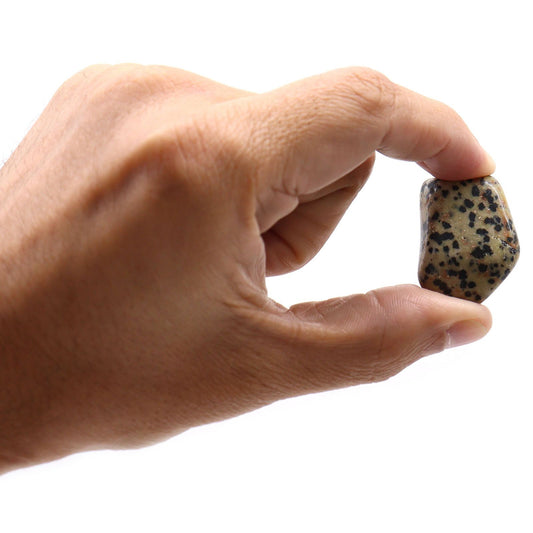 L Tumble Stones - Dalmata - Piedras Naturales Irregulares