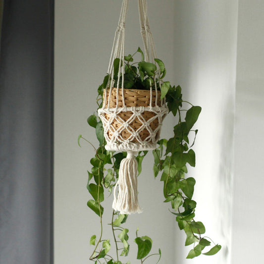 Macrame Plant Hanger - Double