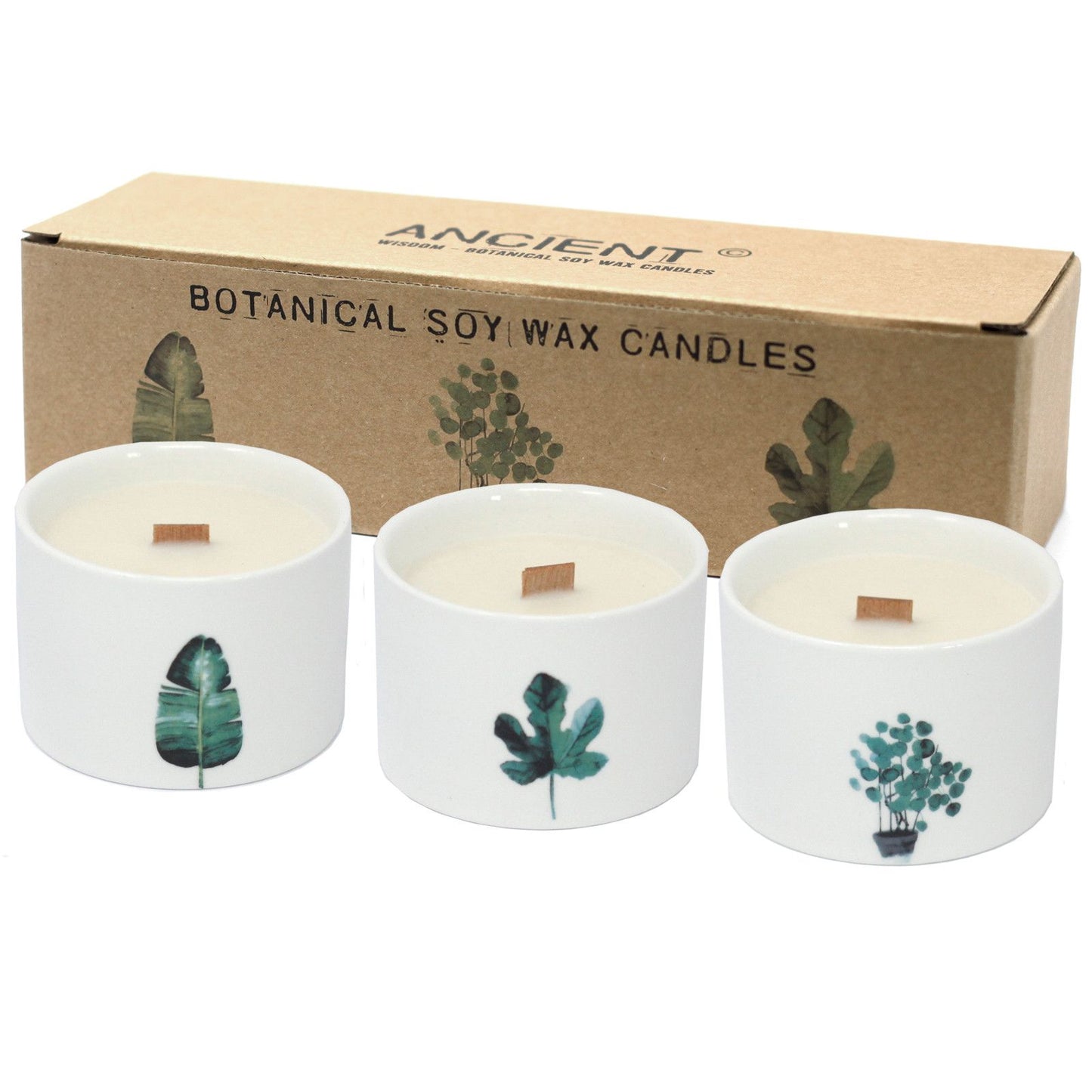 1 Vela Botánica Mediana - Mullberry Harvest (colores sortidos) - Velas Botánicas De Soja, 27 horas