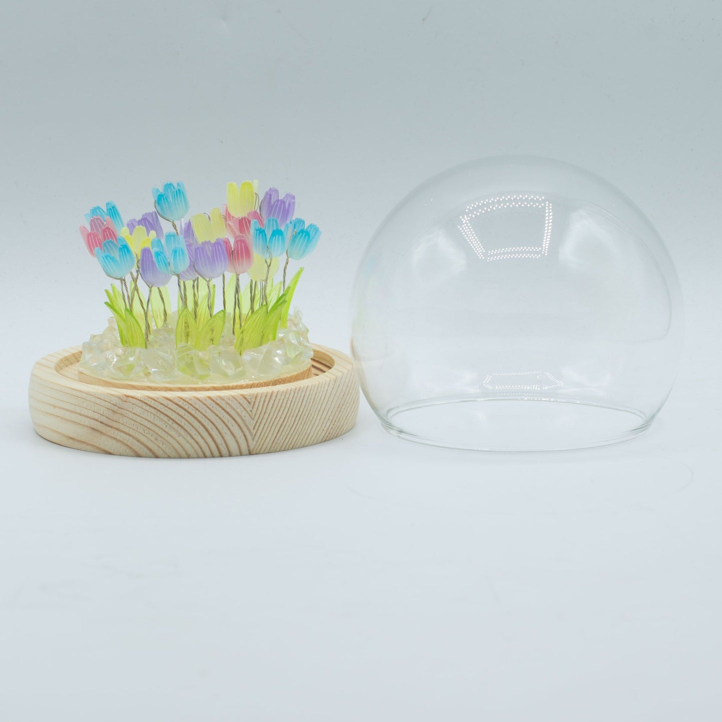 Domo de jardín Floral Glow - 20 tulipanes multicolor - LED USB