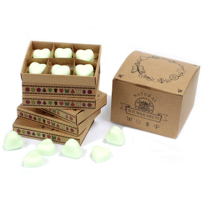 Caja de 6 ceras de Soja - Mantequilla De Brandy - Ceras de Soja de Lujo
