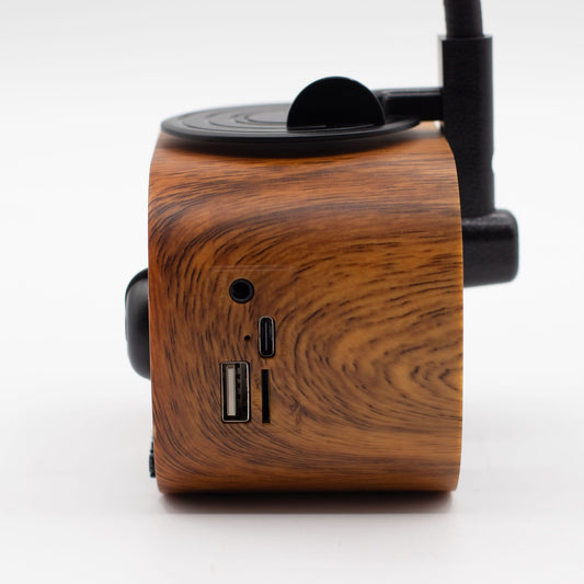 Mini haut-parleur rétro gramophone - Bluetooth et radio FM - 5 watts x 1