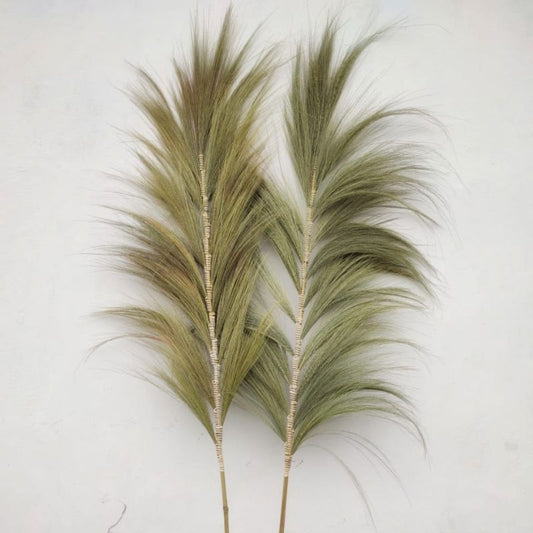 Palmier Naturel Rayung - 2m