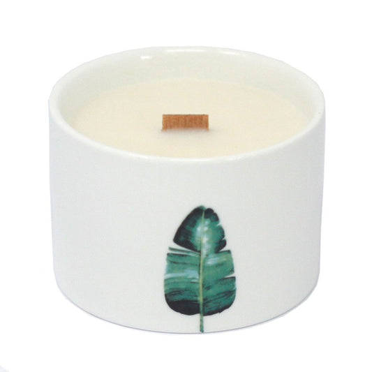 1 Vela Botánica Mediana - Mullberry Harvest (colores sortidos) - Velas Botánicas De Soja, 27 horas