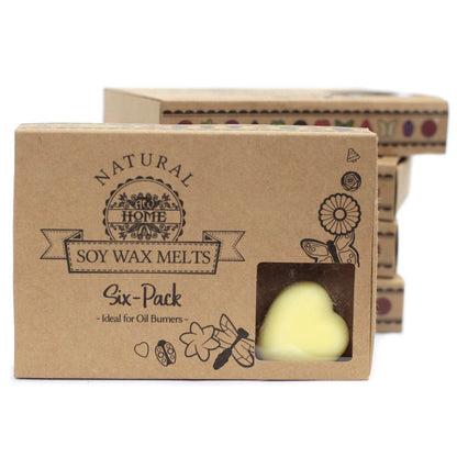Caja de 6 ceras de Soja - Mantequilla De Brandy - Ceras de Soja de Lujo