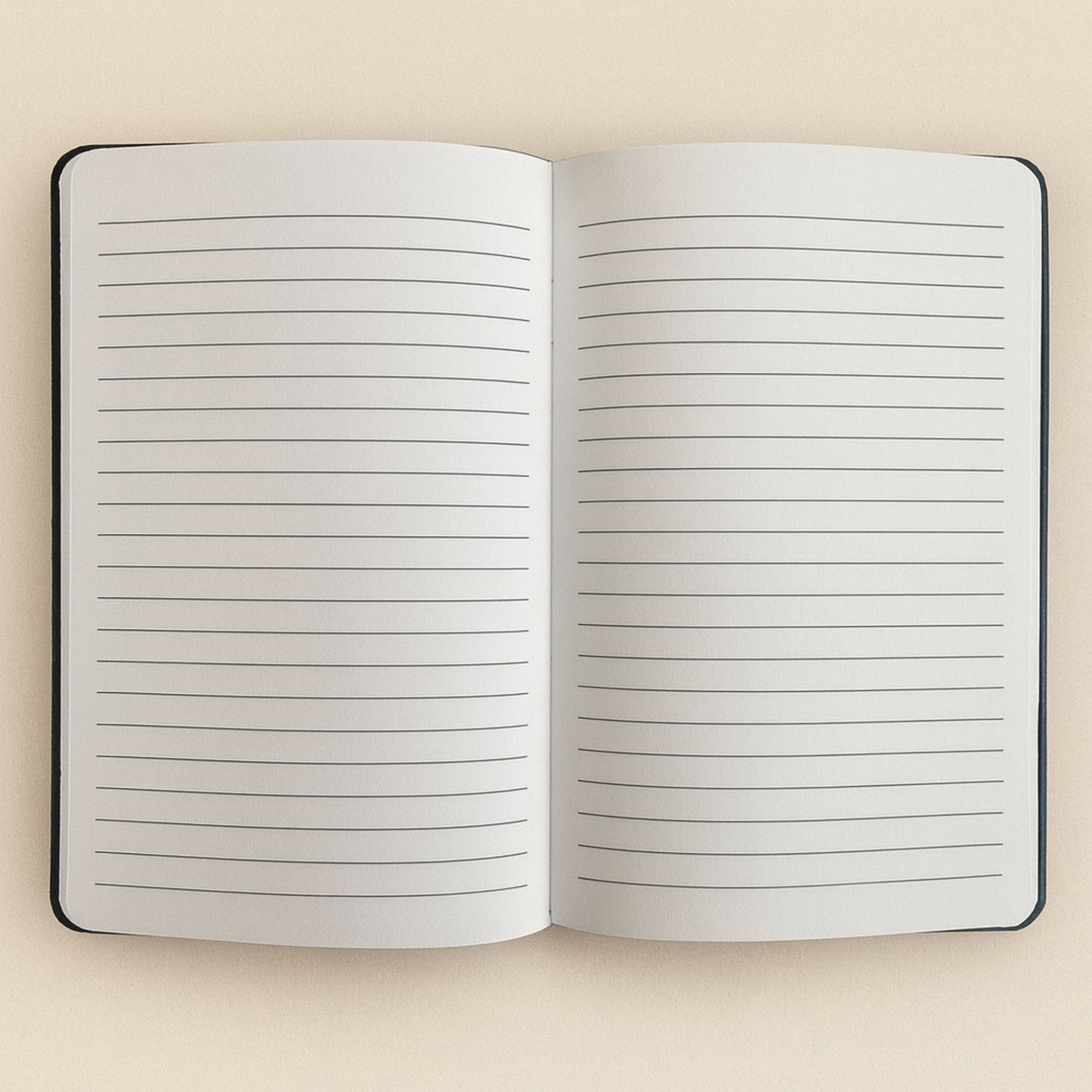Cuaderno de terciopelo negro - 80 páginas - Aprovecha el día