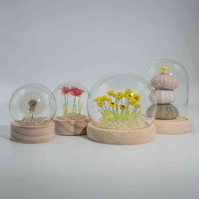 Floral Glow Garden Dome - 10 pink roses - USB LED
