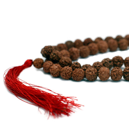 108 Rudraksha Japa Mala - Marrón