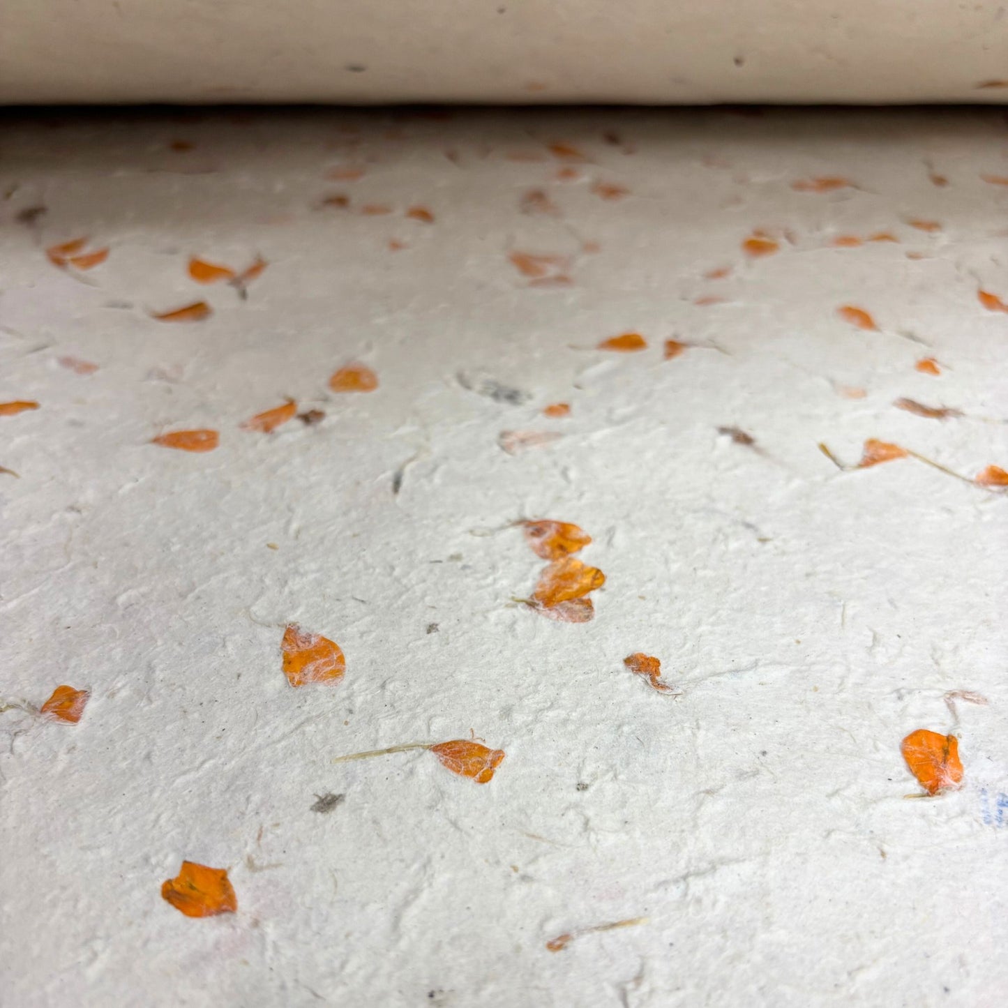 Lokta Craft / Papel de regalo (51x76cm) - Marigold