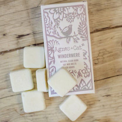 Caja de 8 Ceras - Windemere