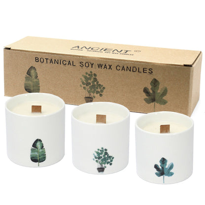 Vela Botánica Grande - Marsh Viola - Velas Botánicas De Soja, 30 horas