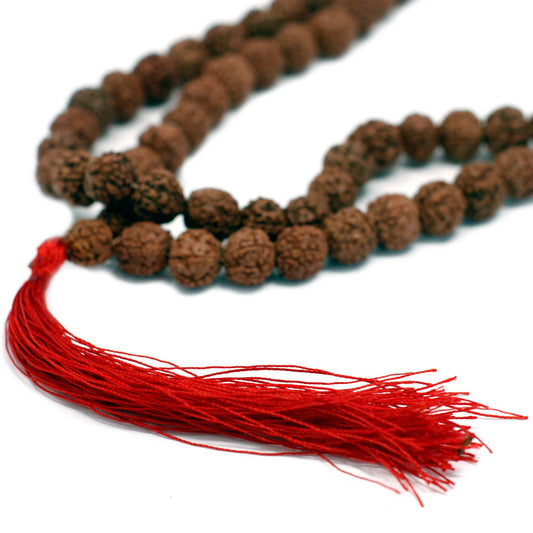 108 Rudraksha Japa Mala - Marrón - Rudraksha Buda Japa Mala, 108 cuentas