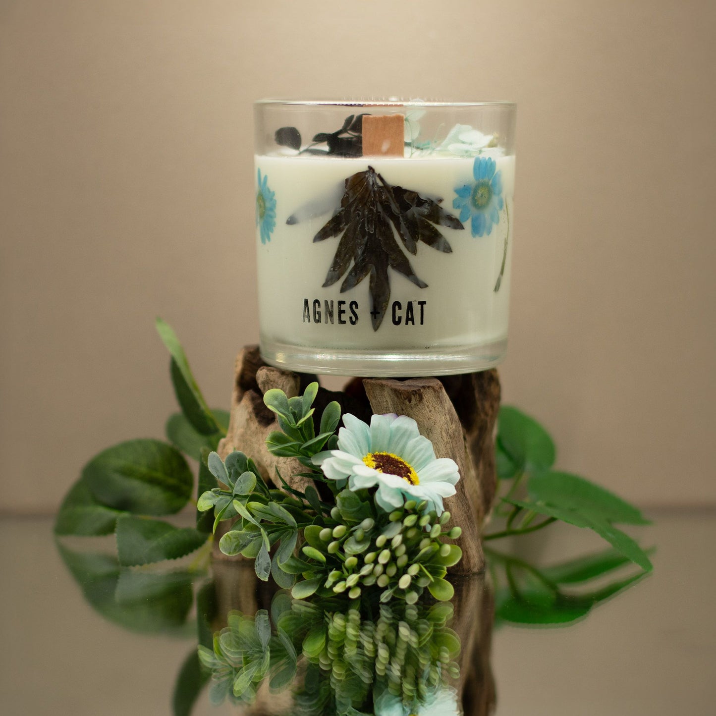Agnes + Cat Vela de Cera de Soja Botánica - Sal marina y musgo - Agnes + Cat Velas botánicas de cera de soja, Cruelty Free