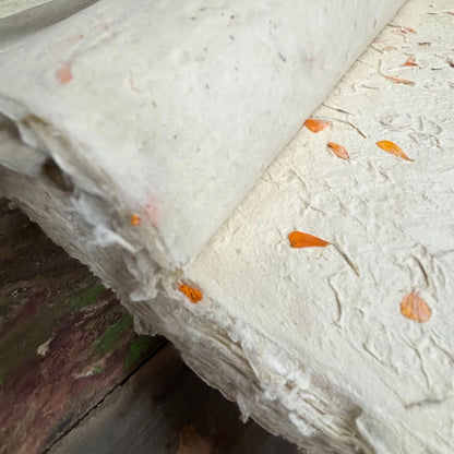 Lokta Craft / Papel de regalo (51x76cm) - Marigold