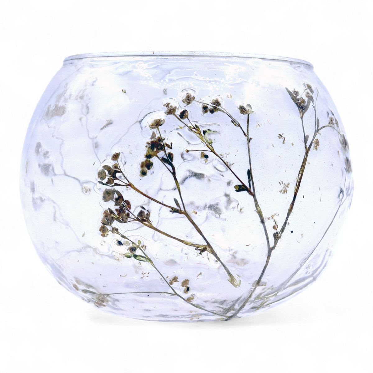 Portavelas de Vidrio floral natural Cuenco - Margarita - (8x10cm) - Portavelas de vidrio con motivos florales naturales, deco