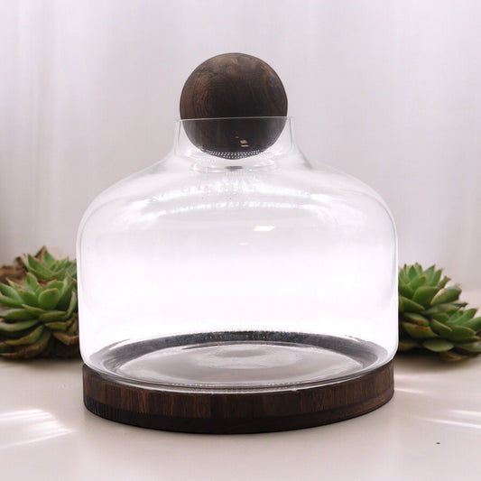 Terrarium extra grand en bois de Tung foncé avec couvercle à boule - 23x23cm