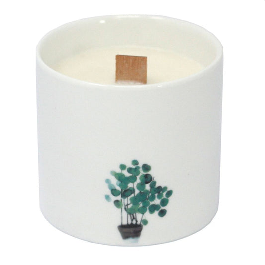 Vela Botánica Grande - Marsh Viola - Velas Botánicas De Soja, 30 horas