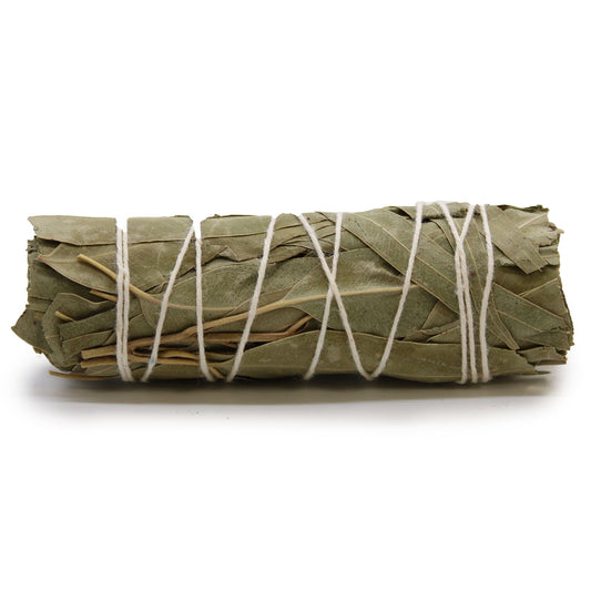 Atado de Hierba - Salvia Blanca y Eucalipto 10 cm - Atados de Smudge – Envuelto individualmente