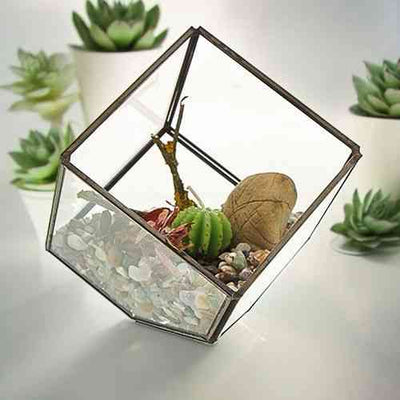Glass Terrarium - Corner Cube