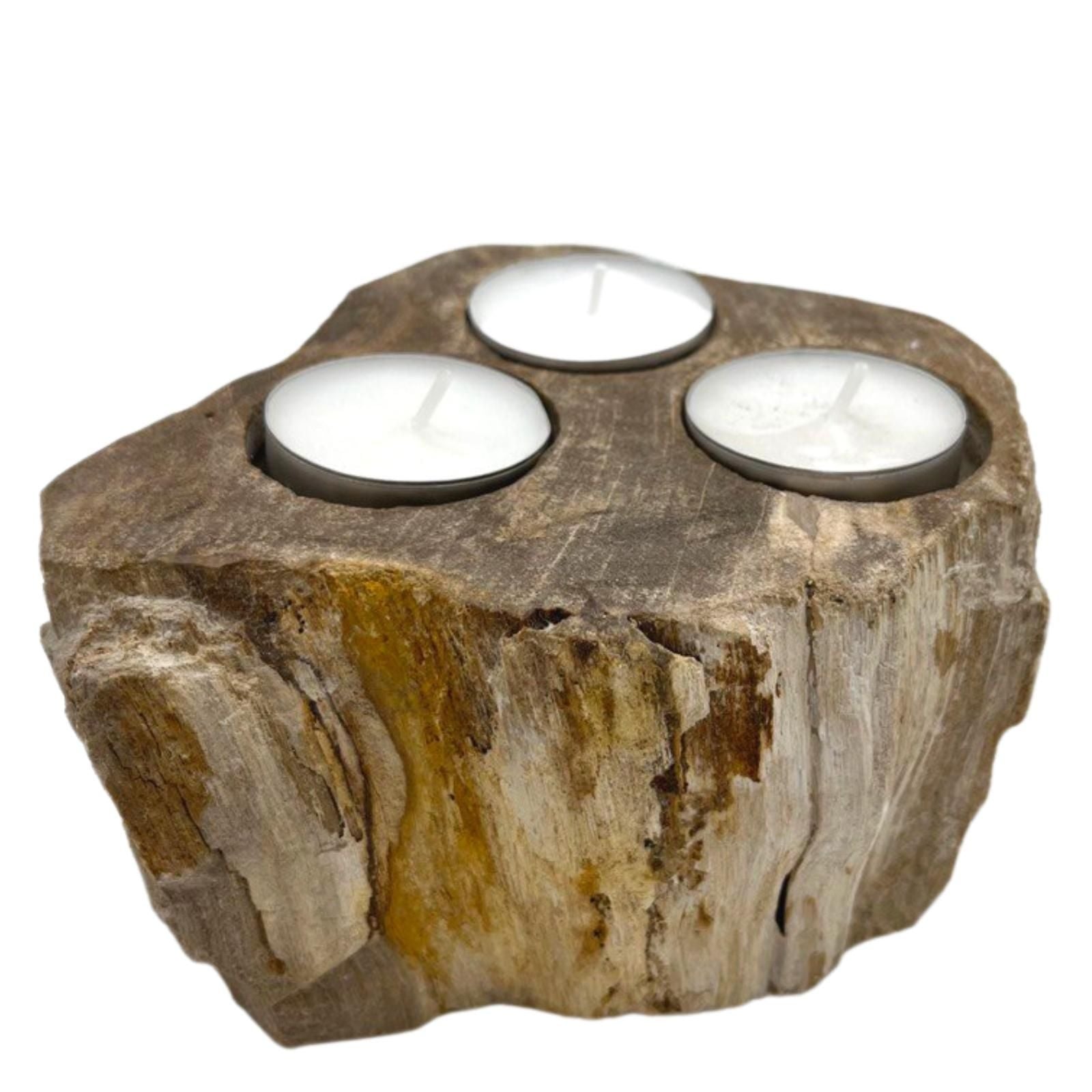 Portavelas de Madera Petrificada - Triple - Portavelas de piedra en madera petrificada