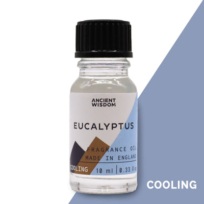 Aceites de Fragancia 10ml - Eucalipto - Aceites de Fragancia 10ml, Cruelty Free