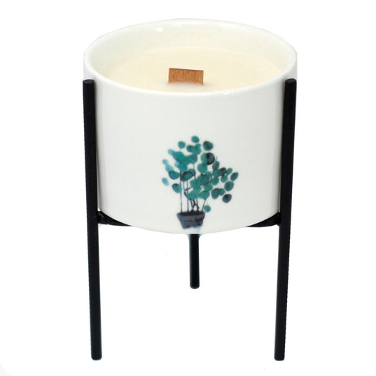 1 Candelabro Botánico De Hierro - Velas Botánicas De Soja