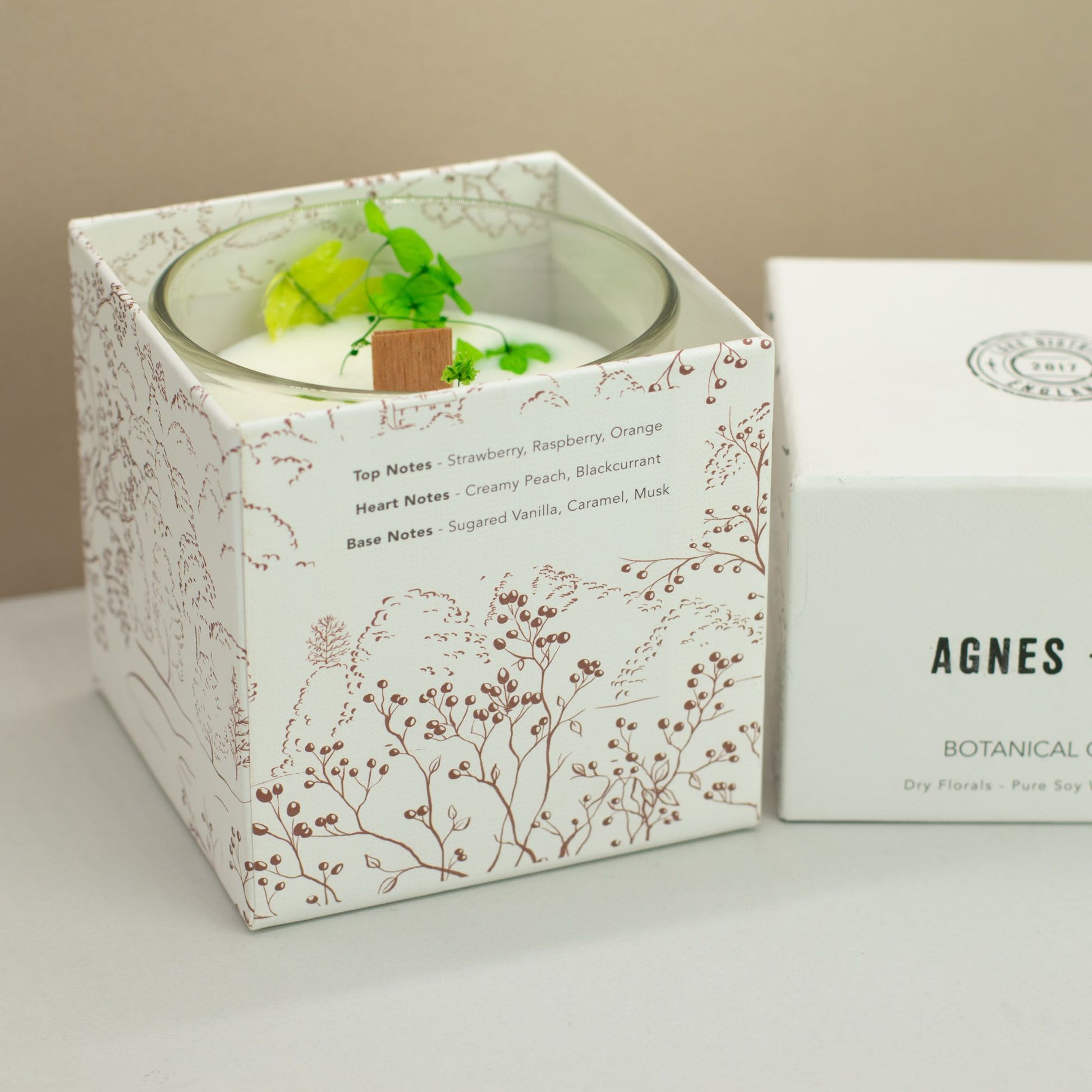 Agnes + Cat Vela de Cera de Soja Botánica - Fellberry - Agnes + Cat Velas botánicas de cera de soja, Cruelty Free