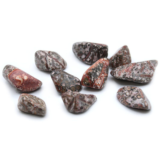 L Tumble Stones - Leopard Skin - Piedras Naturales Irregulares