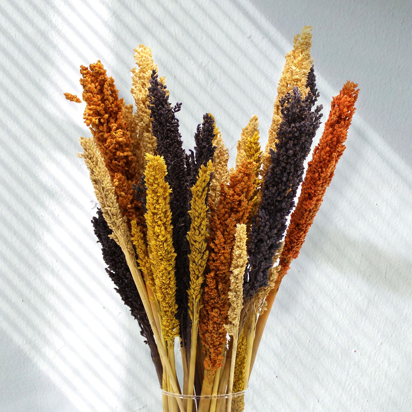Racimo de Hierba Cantal - Naranja