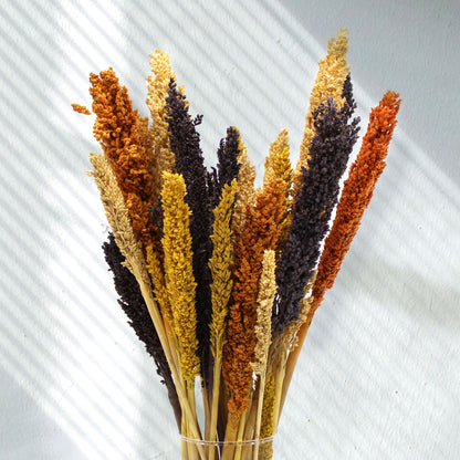 Racimo de Hierba Cantal - Naranja