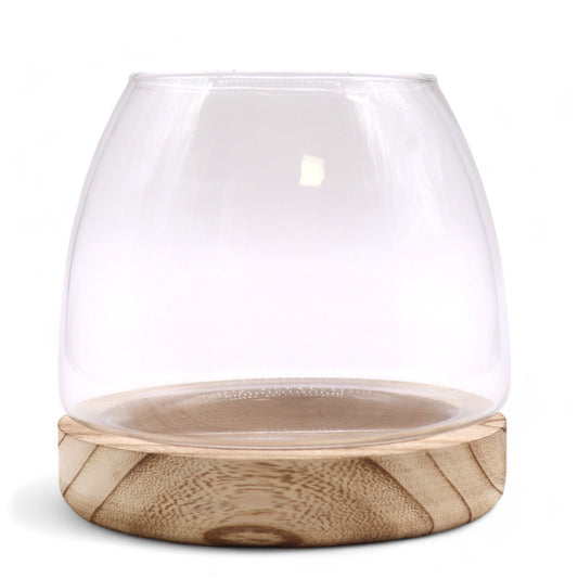 Terrarium Petit en Bois de Tung Naturel - 15x15cm