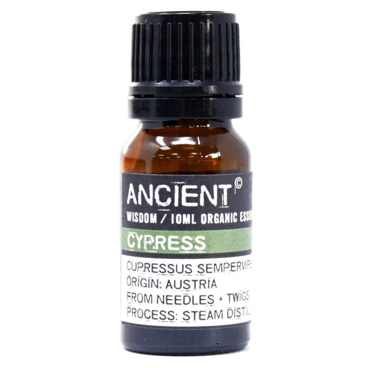Organic essential oil - Cypress