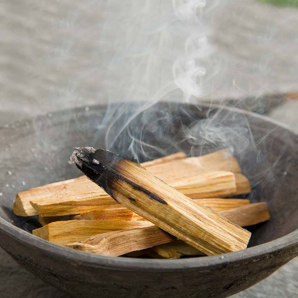 100g Palos de árbol verde de palo santo 10-15 Palitos - Palo Santo