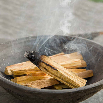 100g Palos de árbol verde de palo santo 10-15 Palitos - Palo Santo