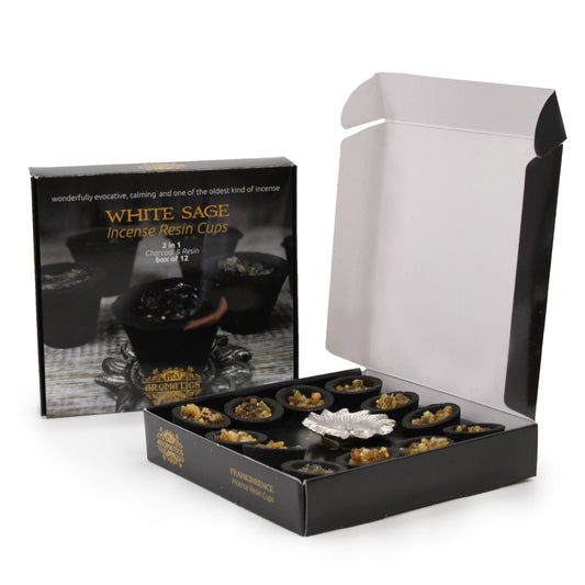 Caja de 12 Copas de Resina - Tres Reyes - Caja de 12 copas de resina