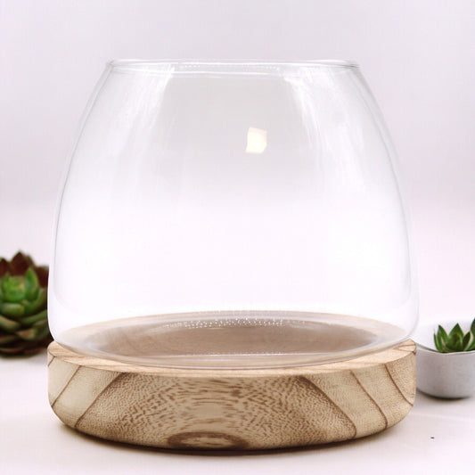 Terrarium Petit en Bois de Tung Naturel - 15x15cm